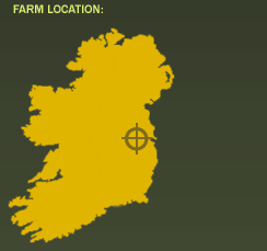Map indicating location of Straffan Butterfly Farm, County Kildare